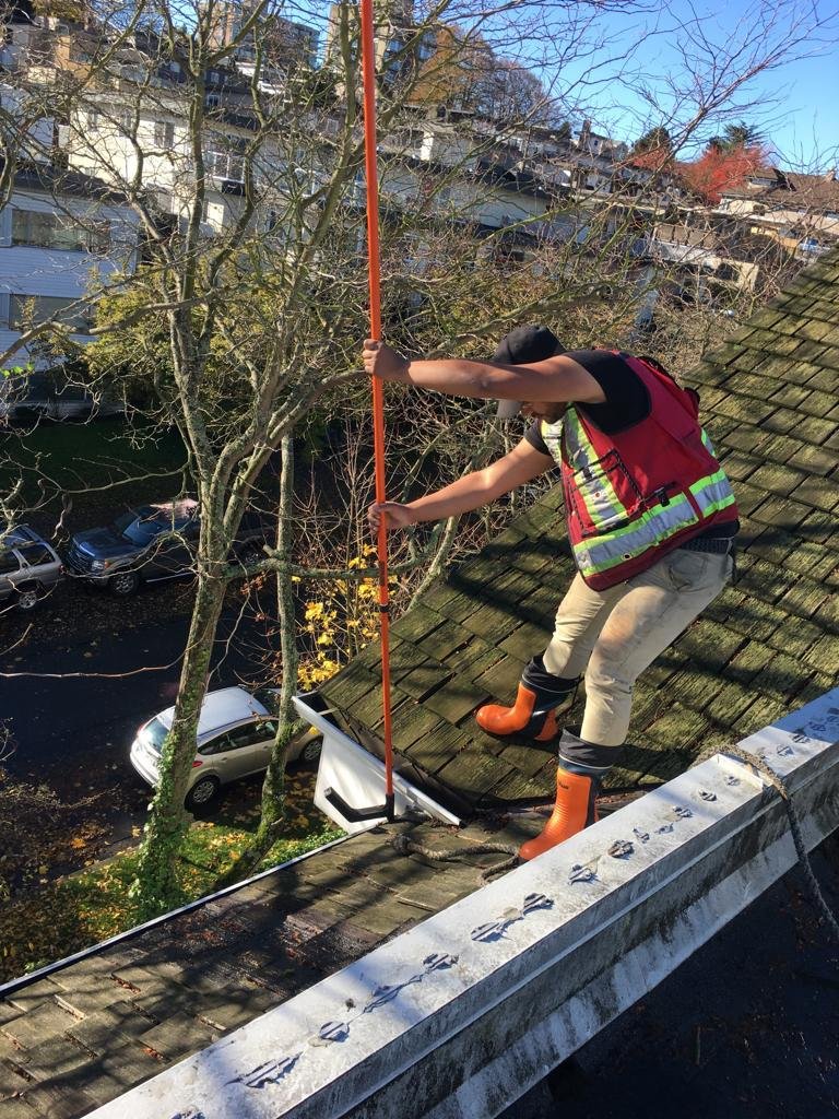 Gutter cleaning
