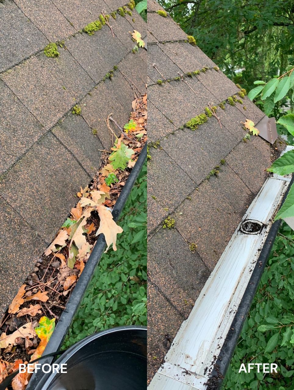 Before and after gutter cleaning in South Surrey