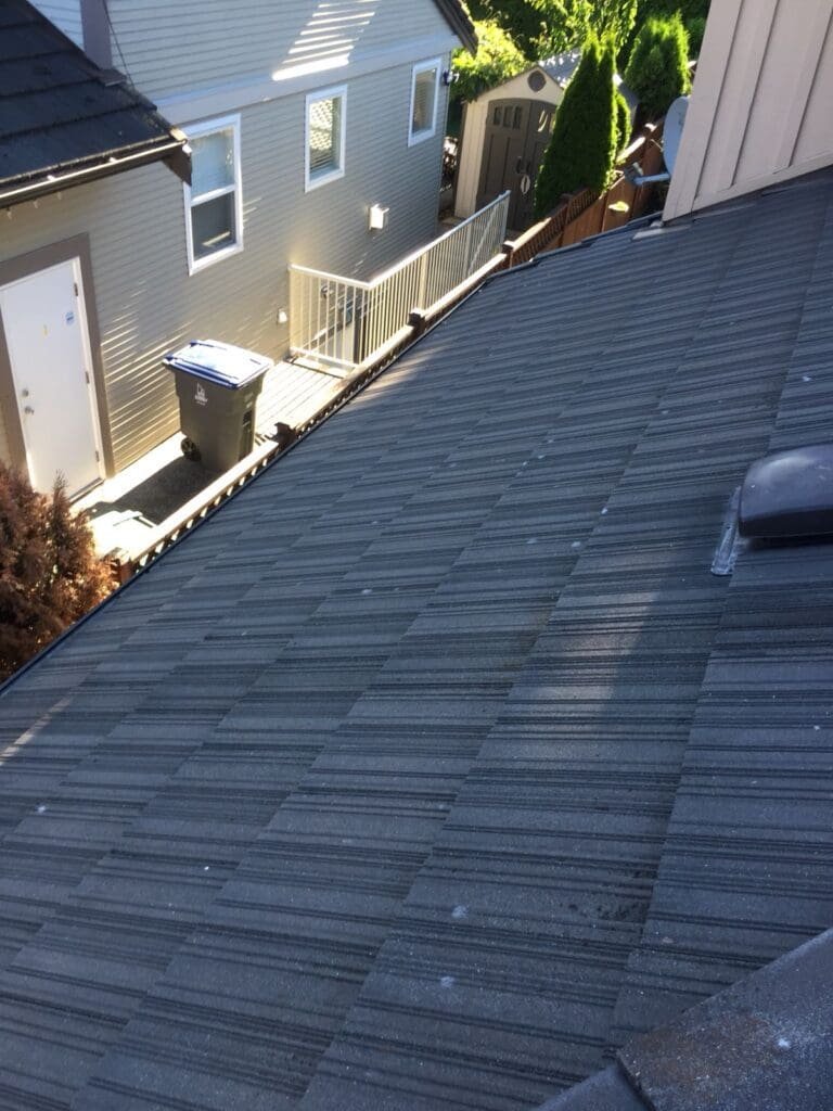 Tile Roof Cleaning After