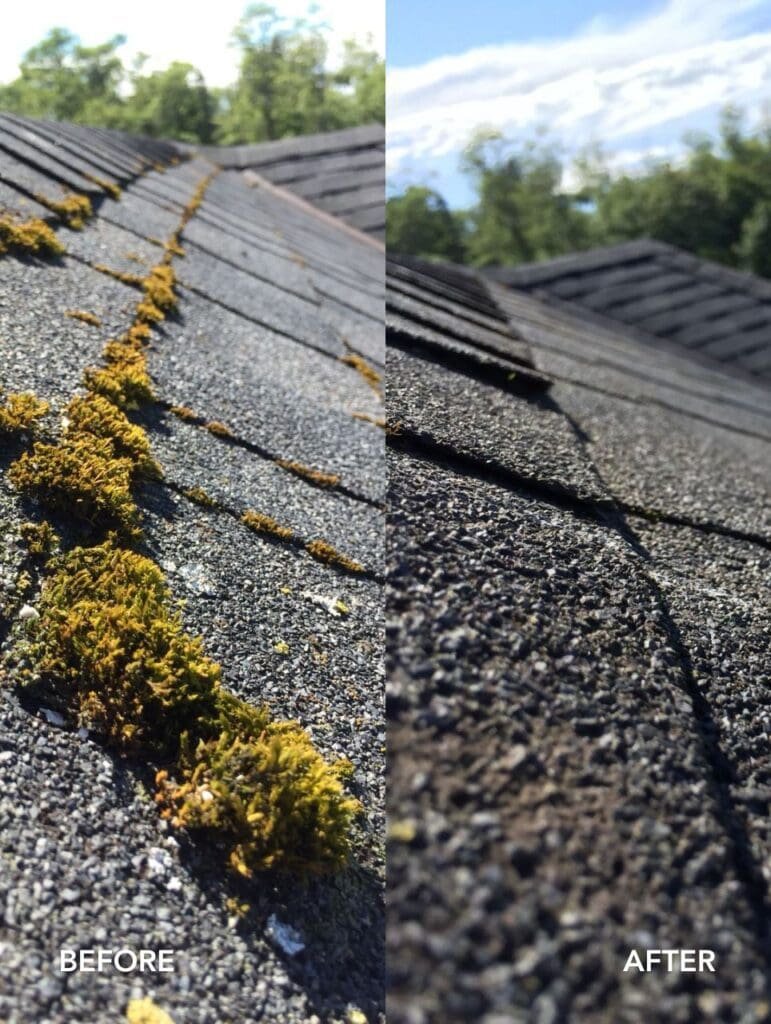 tile roof brush cleaning, asphalt shingle roof brush cleaning
