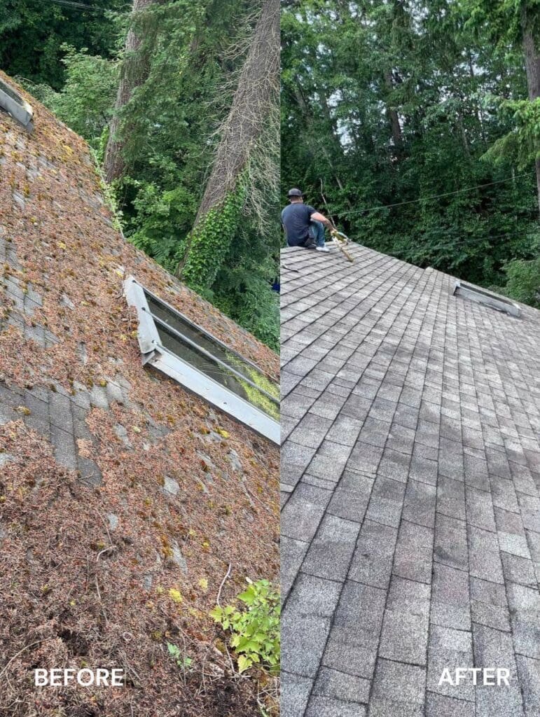 brush roof cleaning in Richmond