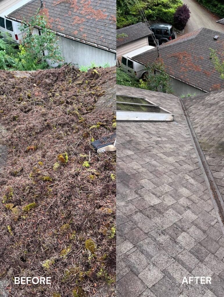 brush roof cleaning in Richmond before and after