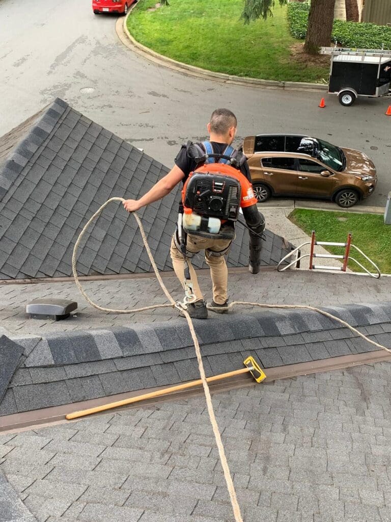ashfault shingle roof blowing, roof power washing