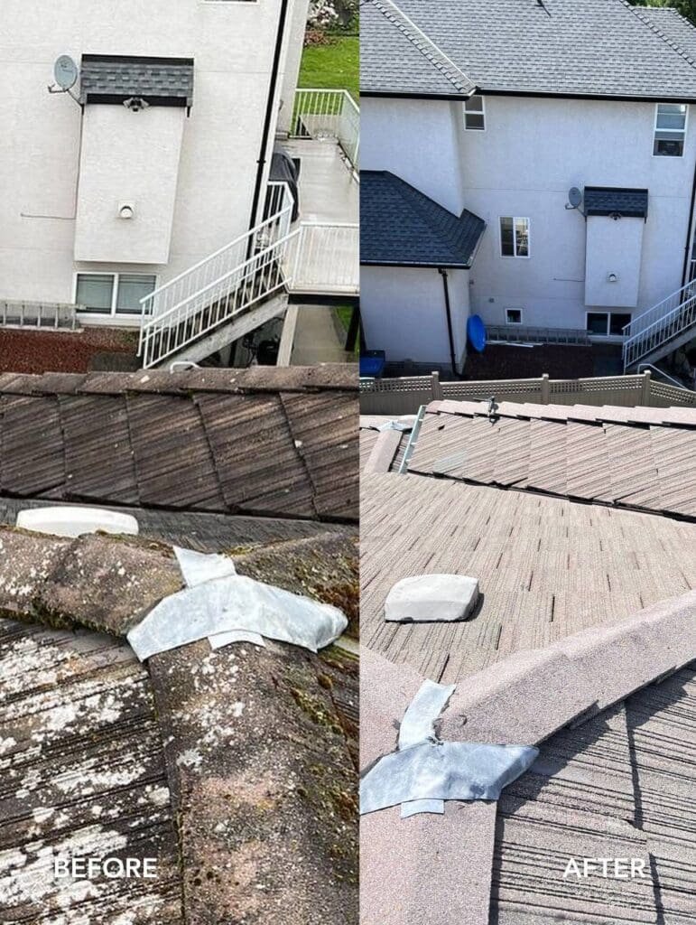 roof power washing