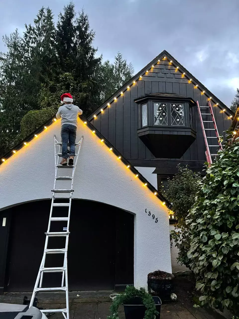 Christmas Lights Hanging
