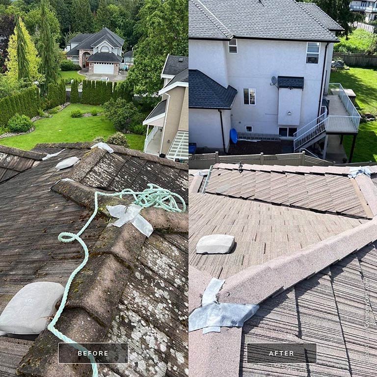Roof cleaning before after