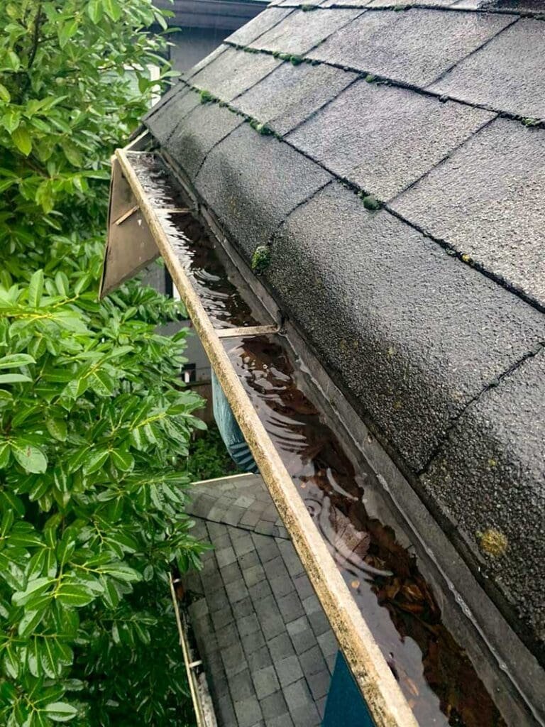 Close-up view of a roof gutter on a home in Port Coquitlam, BC, showing clean drainage and proper installation