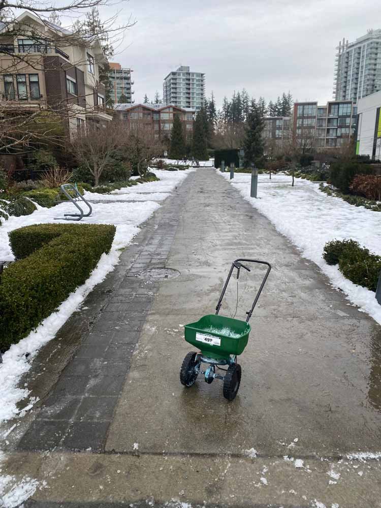 driveway snow removal