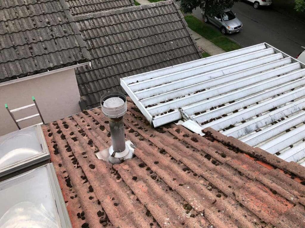 tile roof