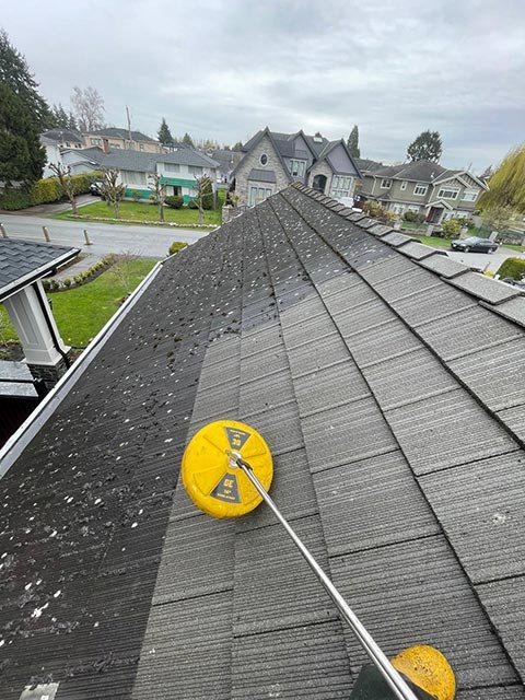 Professional roof cleaning in Vancouver with safe moss removal and soft-wash service.