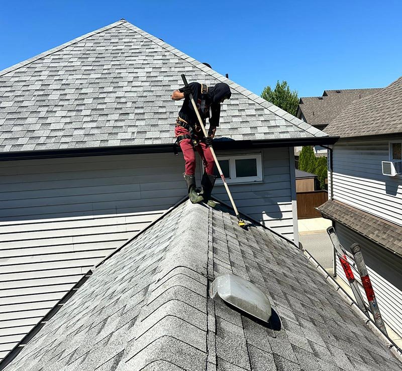 Roof Cleaning
