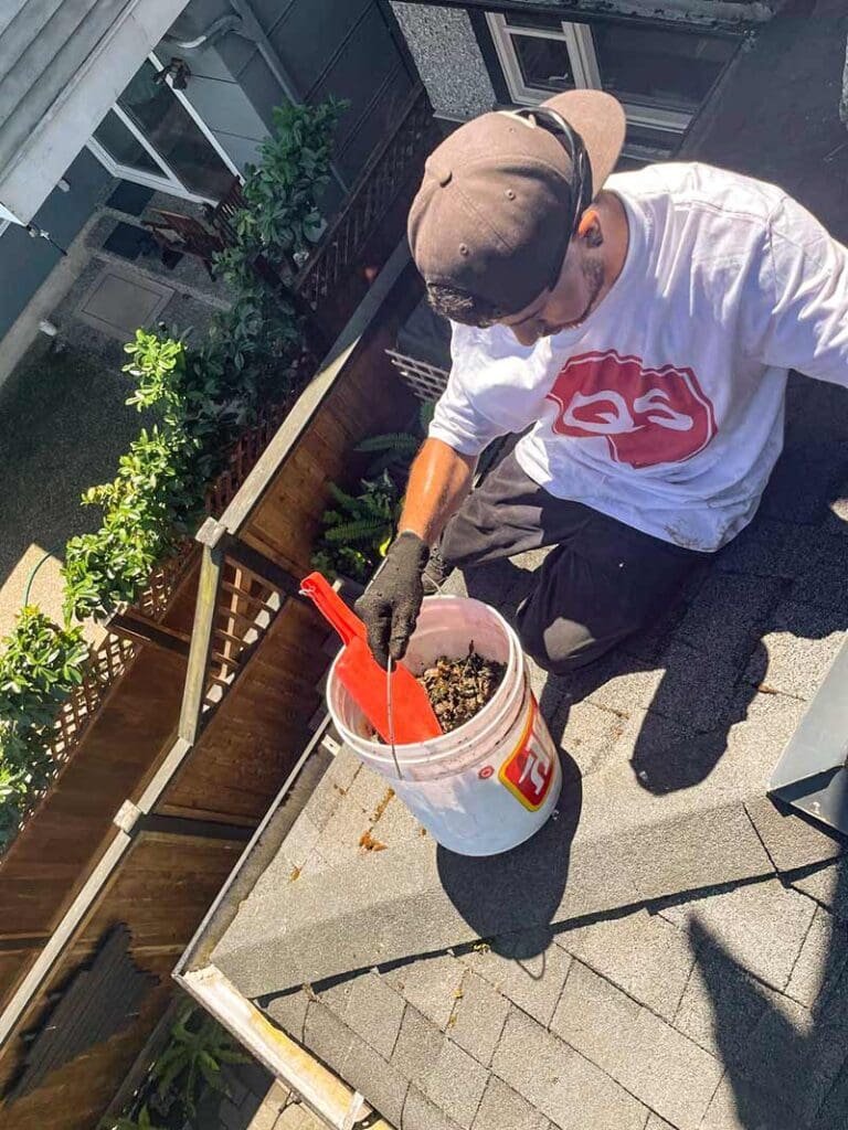 Roof Gutter Cleaning