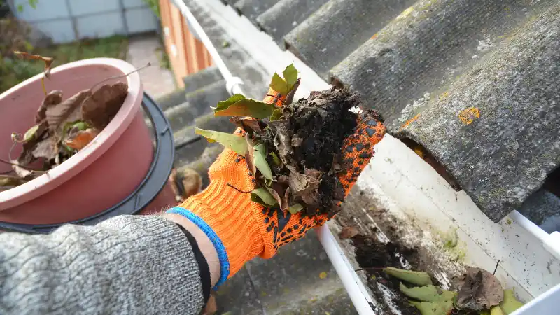 Worker removing leaves and debris from a gutter