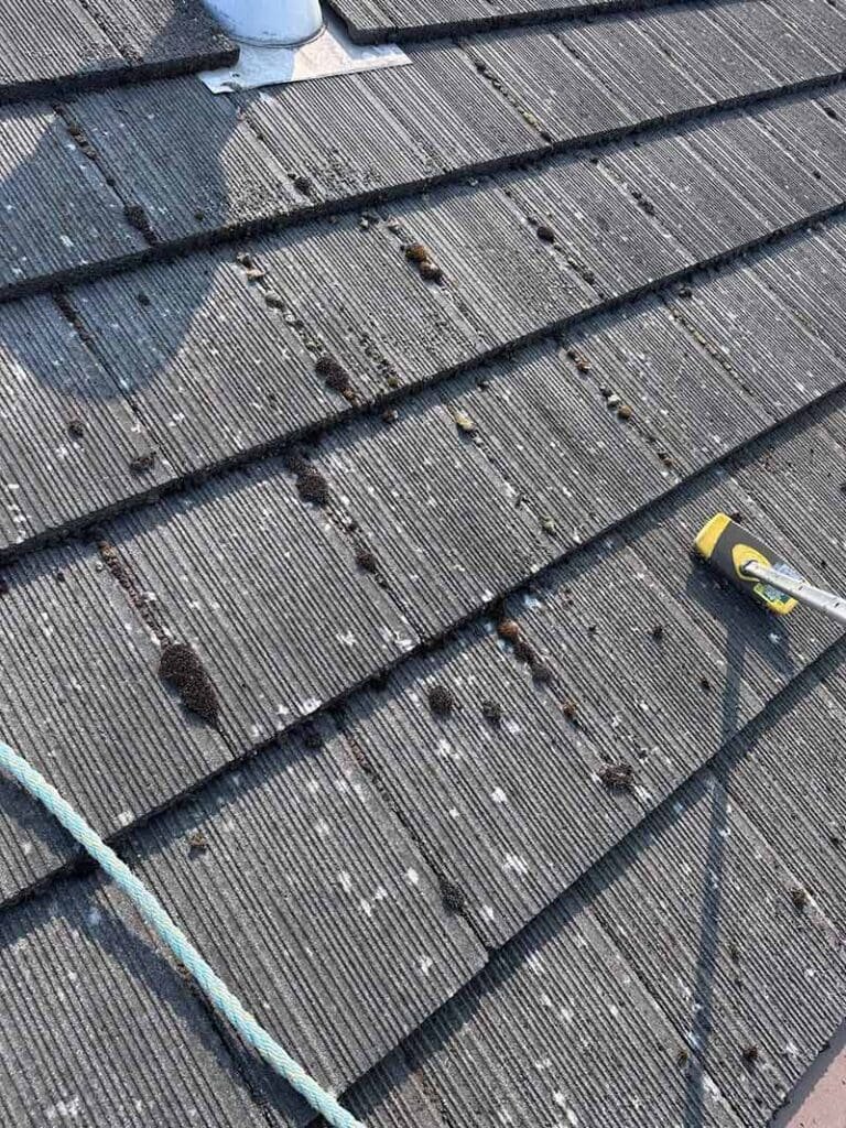 roof brush cleaning