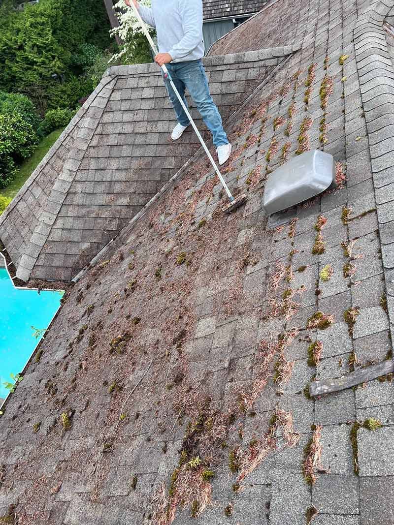Roof brushing service in Vancouver