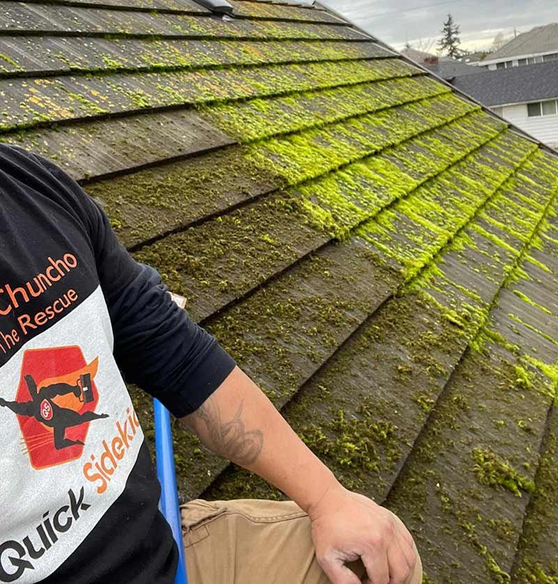 Roof covered in moss before cleaning in South Surrey