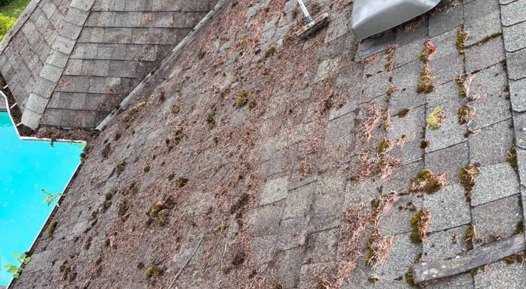 Technician cleaning green moss buildup from a roof in Vancouver during seasonal maintenance