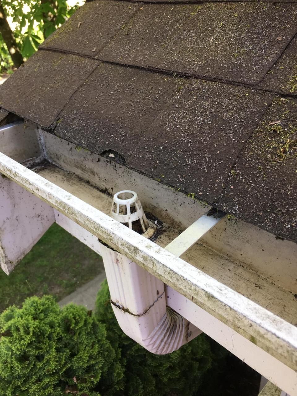 Gutter cleared of moss leaves and debris after cleaning in Vancouver