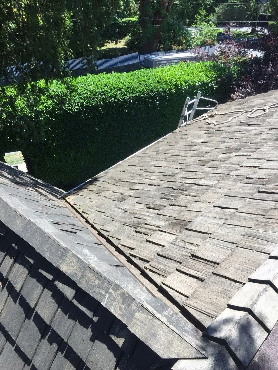 Roof after debris cleaning in Vancouver