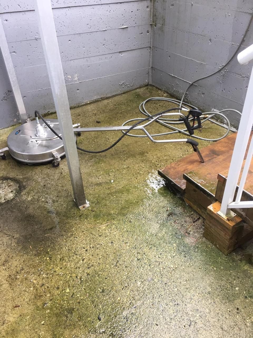 Before pressure washing in Vancouver showing