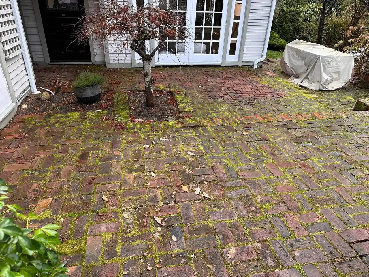 Before pressure washing in Vancouver