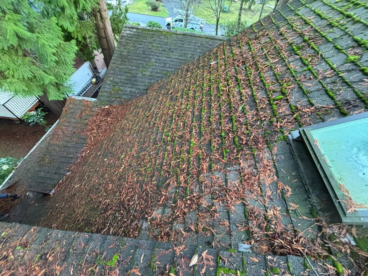 Before roof cleaning service in Vancouver showing clogged gutters