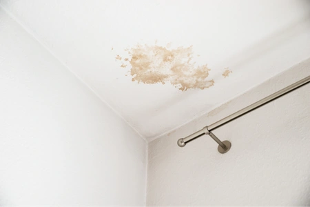 Ceiling Repair