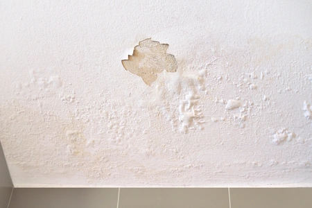 Water Damaged drywall Repair