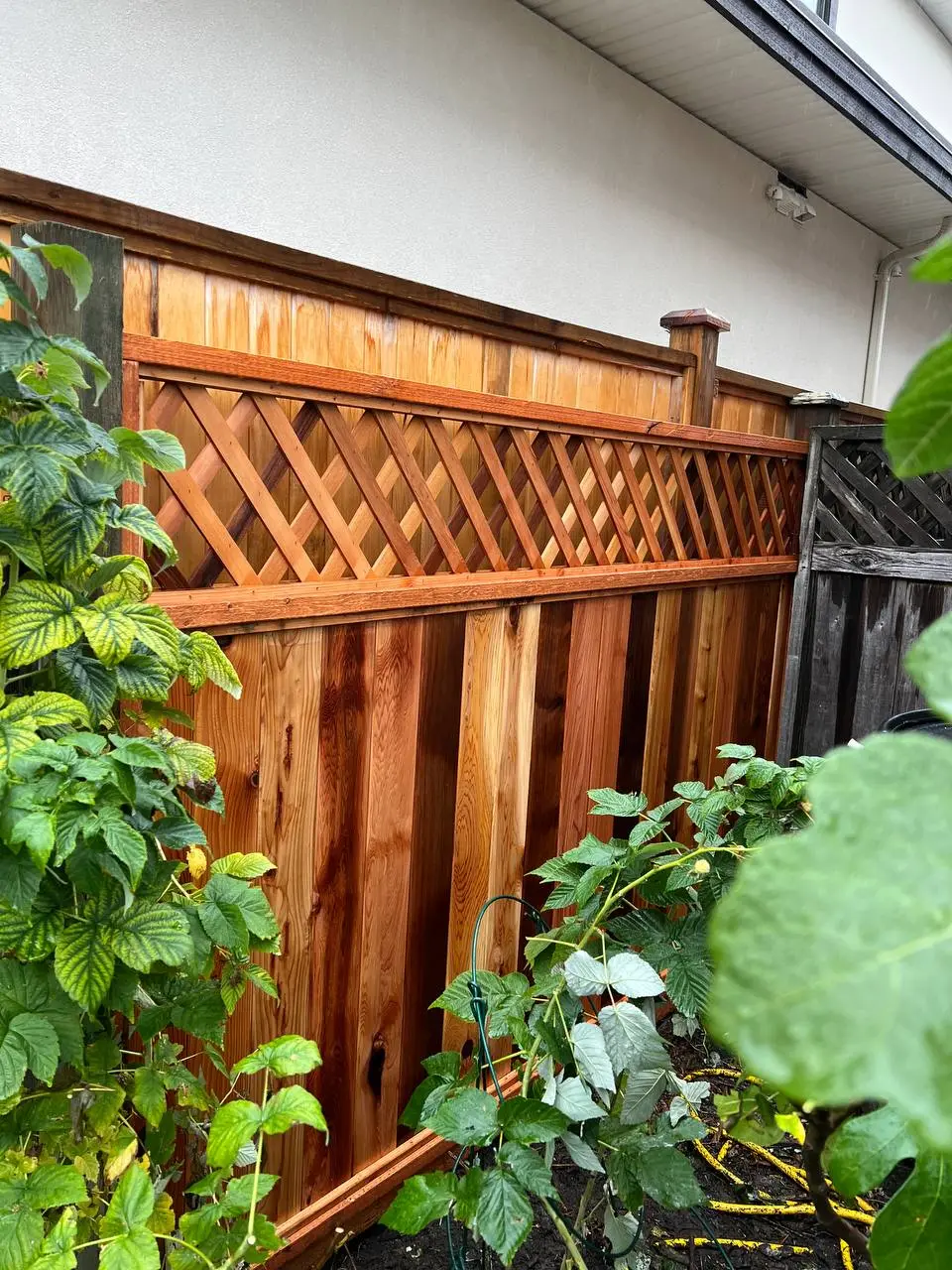 After wood fence panel replacement in Burnaby showing new sturdy wooden fence panels installed