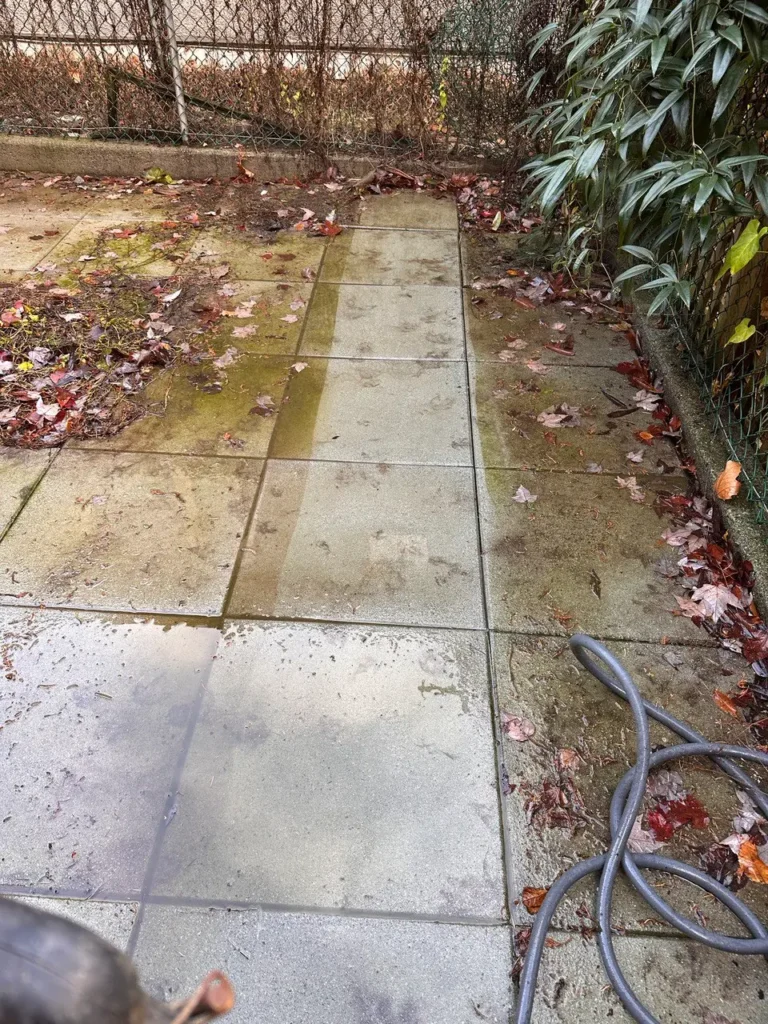 Algae on Patios