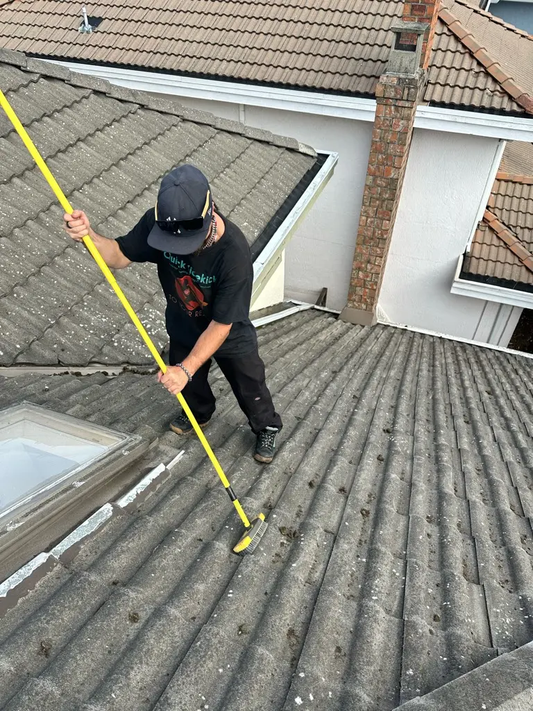 Brush Cleaning in Vancouver