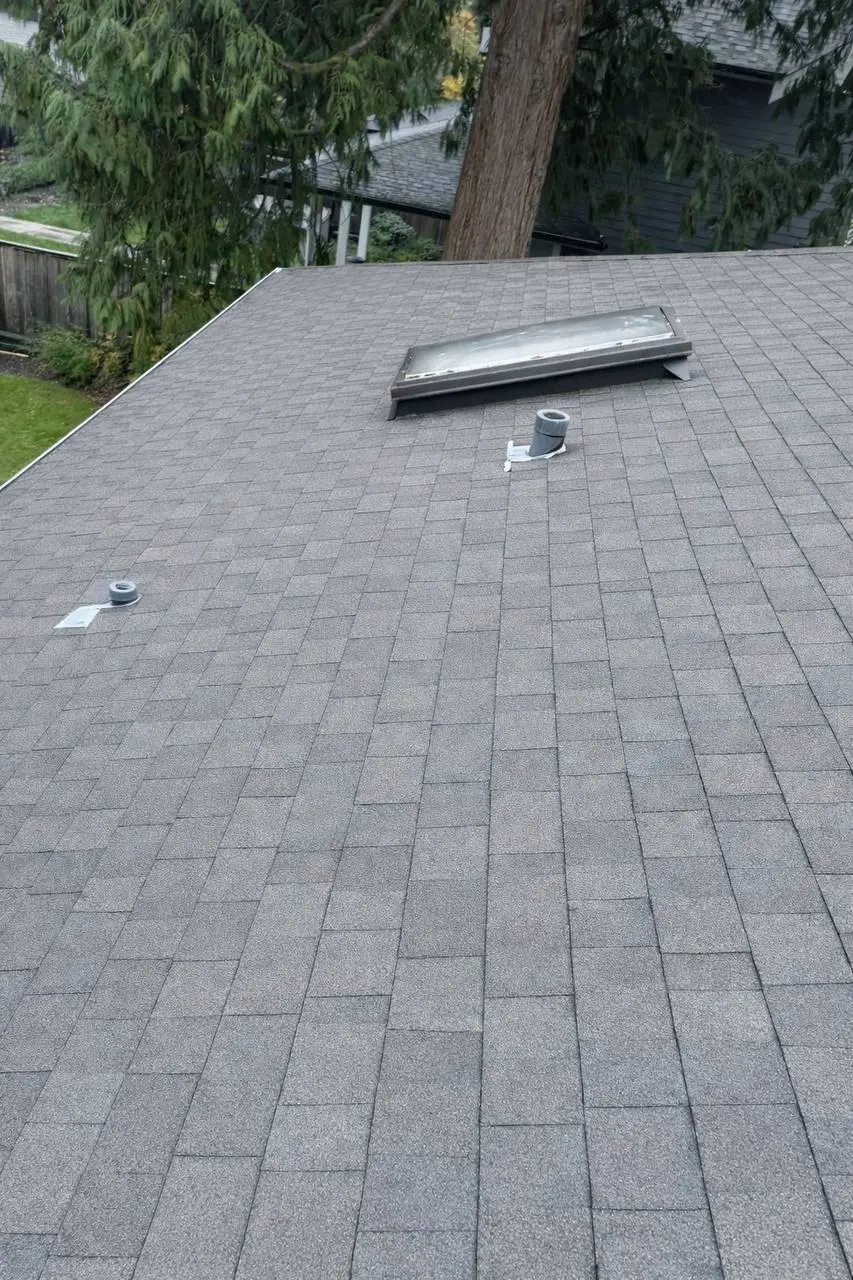 After roof cleaning service in Vancouver 