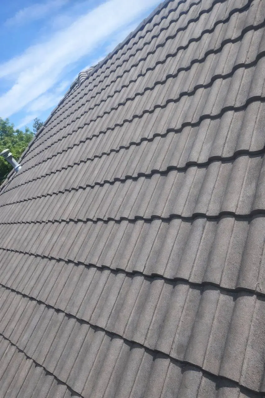 After professional roof cleaning in Vancouver 