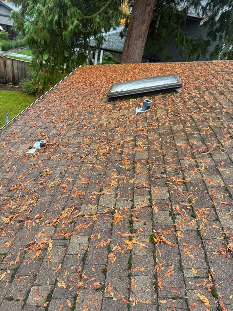 Before roof cleaning service in Vancouver