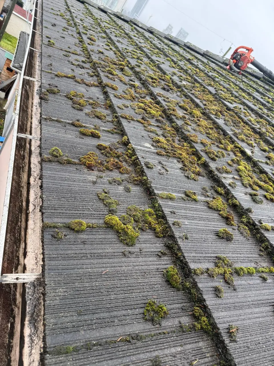Before roof cleaning in Vancouver