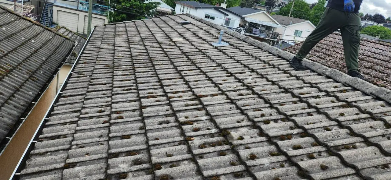 Before roof cleaning in Vancouver 