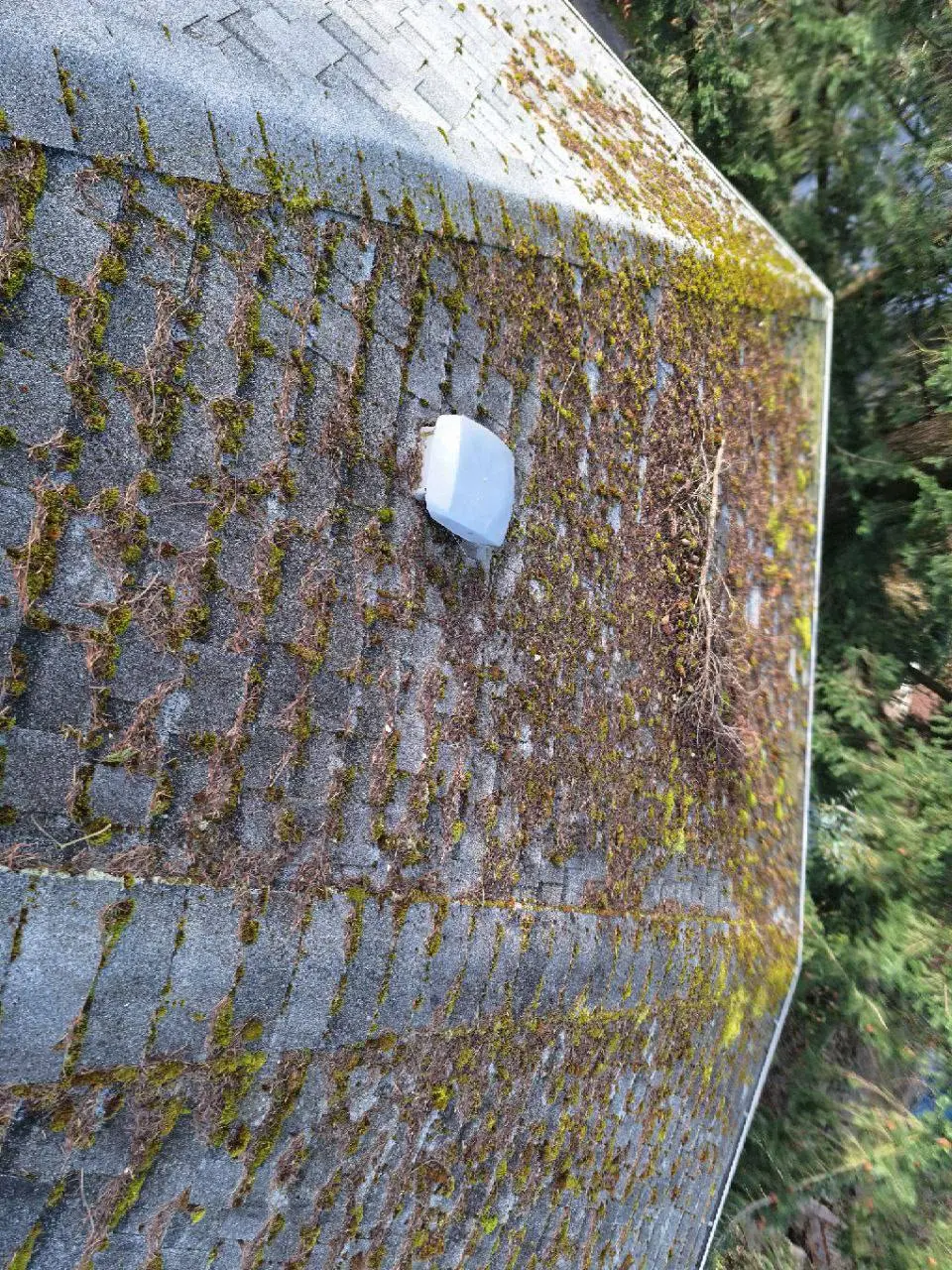 Before roof cleaning in Vancouver