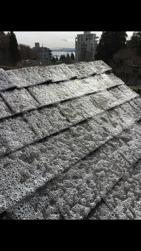 Spray and Forget roof cleaning
