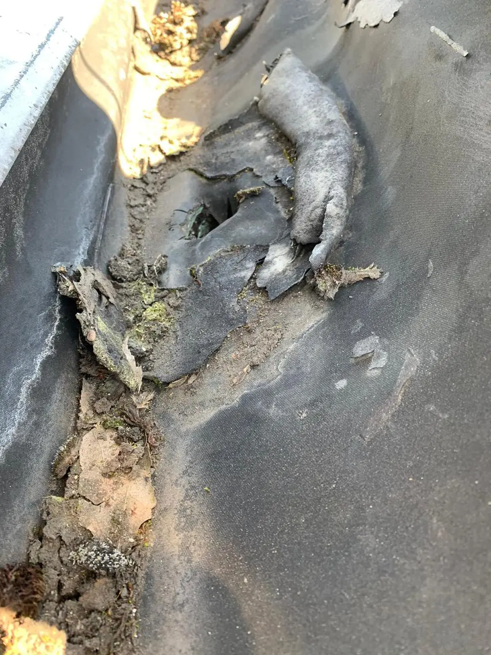 Severely deteriorated gutter lining with crumbling debris before repair in Vancouver BC