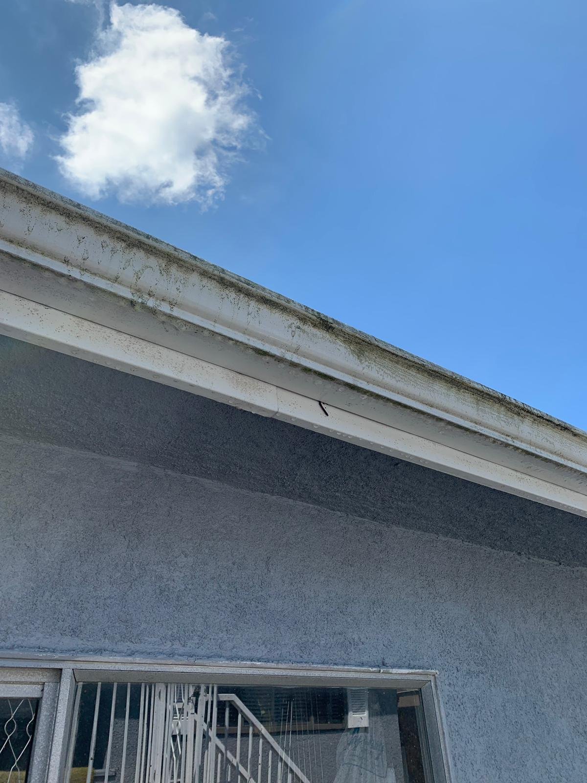 Exterior gutter before professional cleaning