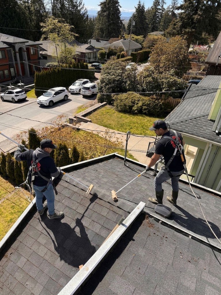 Quick Sidekick roof cleaners brushing and cleaning an asphalt shingle roof in Vancouver