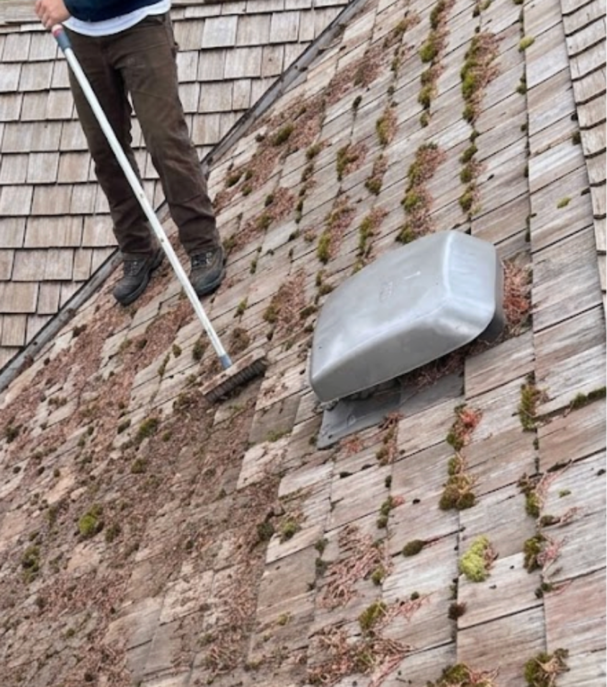 Cedar roof with moss being prepared for brush cleaning