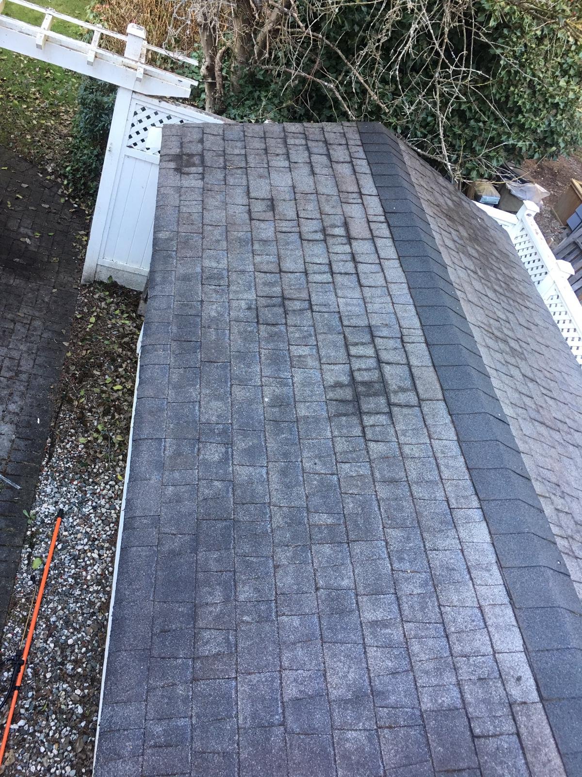 Asphalt shingle roof after established moss was physically removed