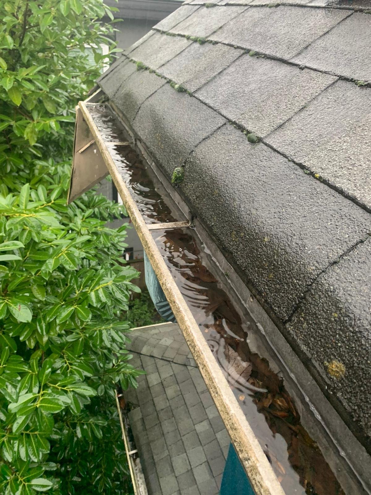 Overflowing gutter in Vancouver