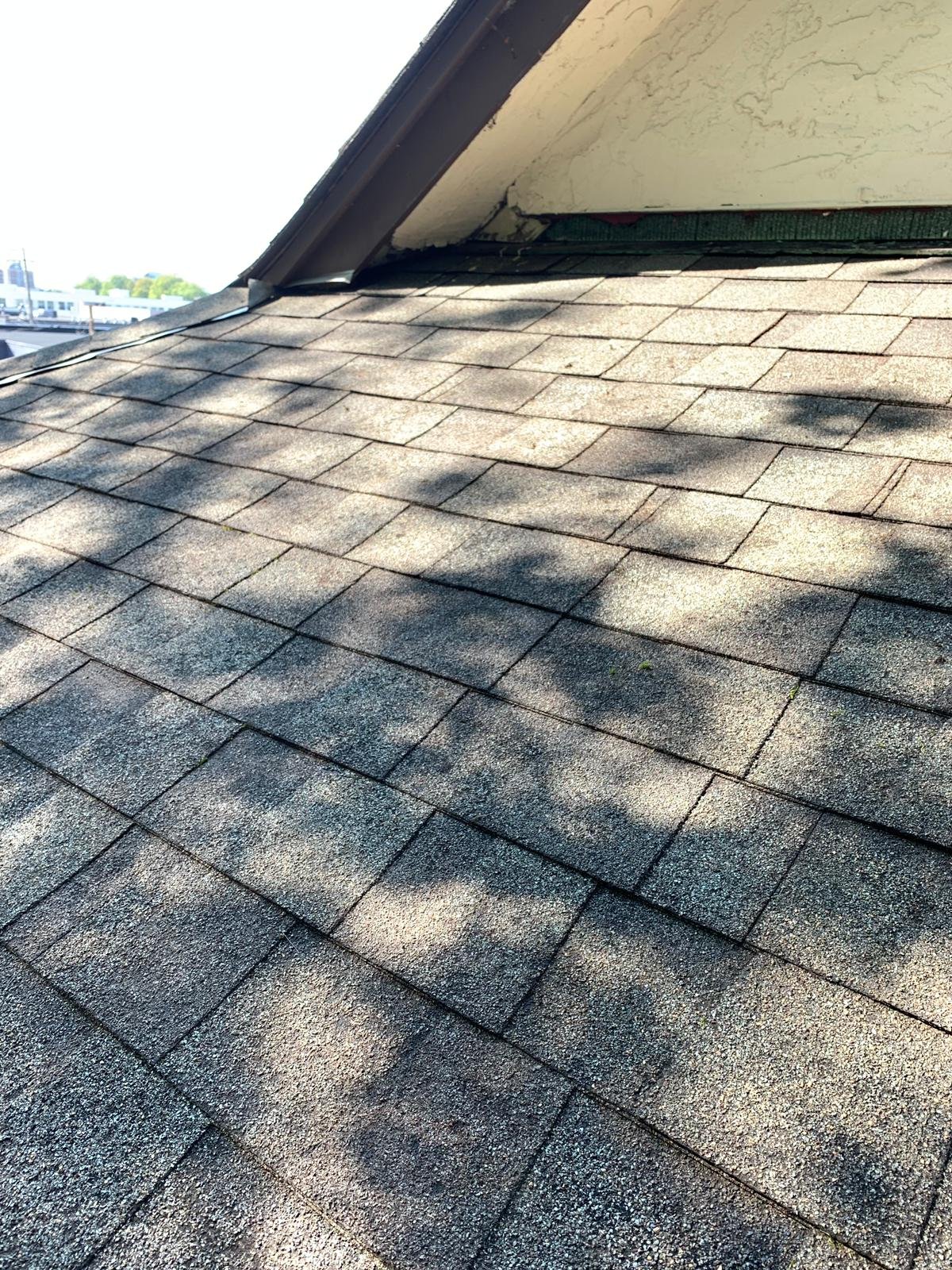 Roof after professional moss removal in Vancouver
