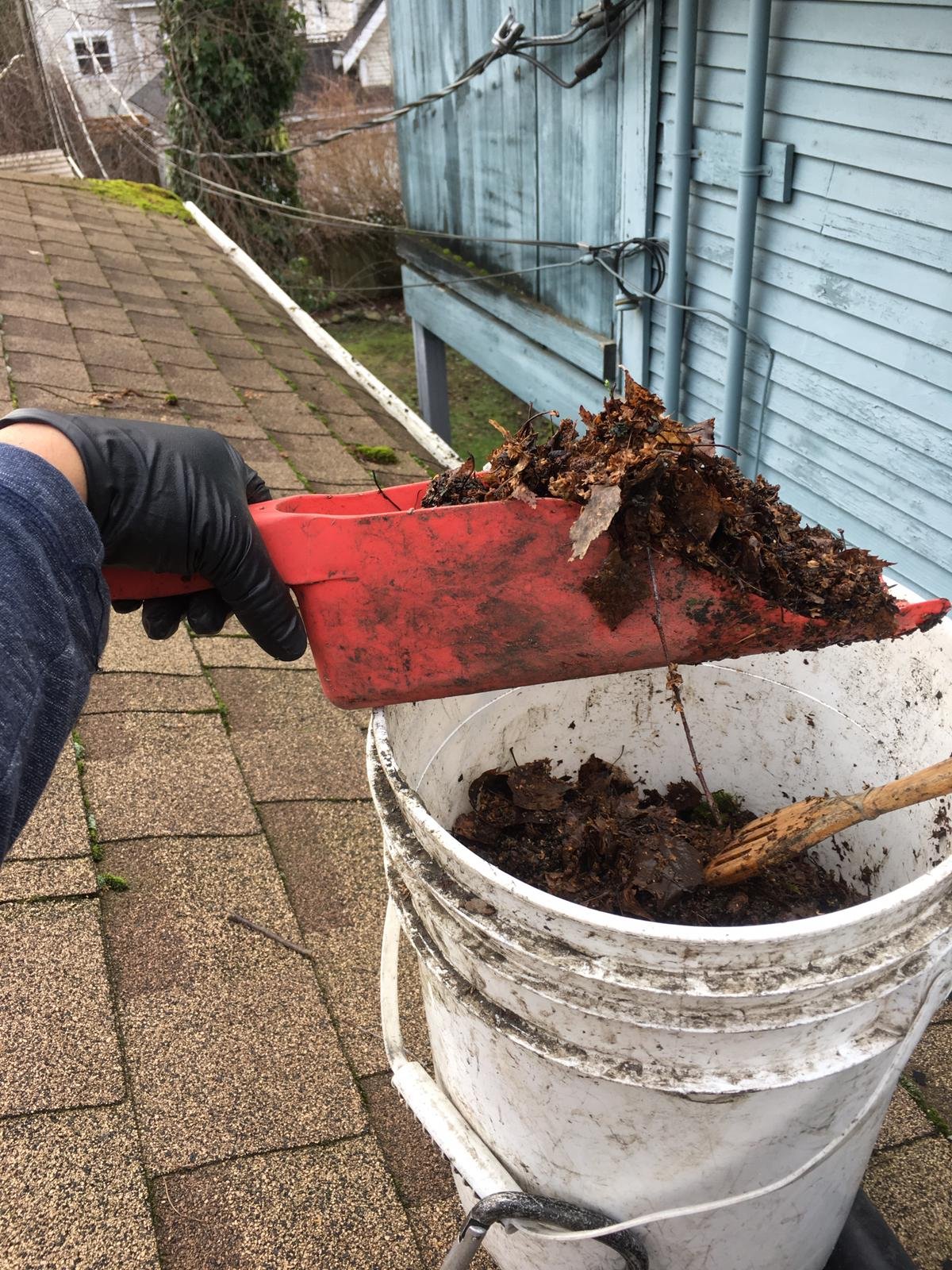 Interior gutter cleaning removing leaves and debris