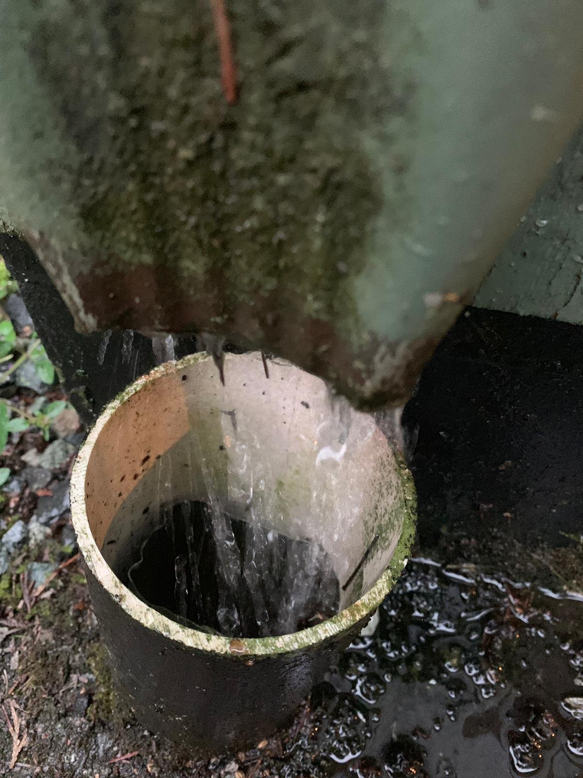 Poor water flow from a commercial downpipe