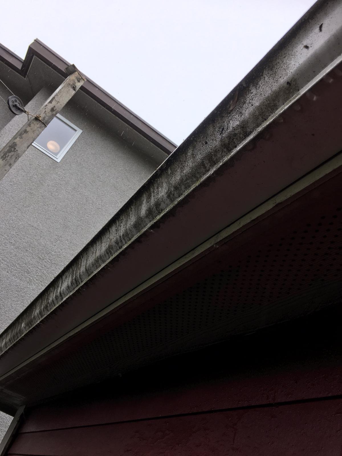Dirty exterior gutter before cleaning