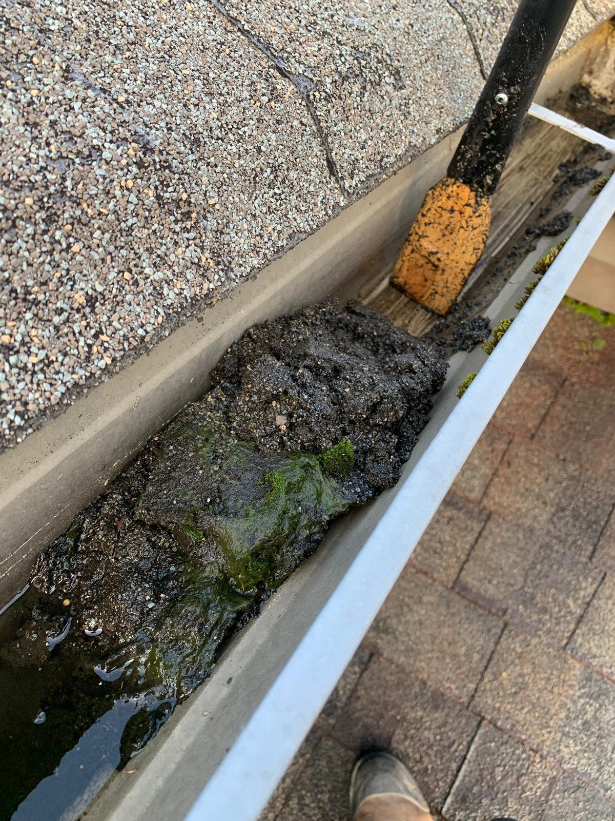 Gutter cleaning service in Vancouver