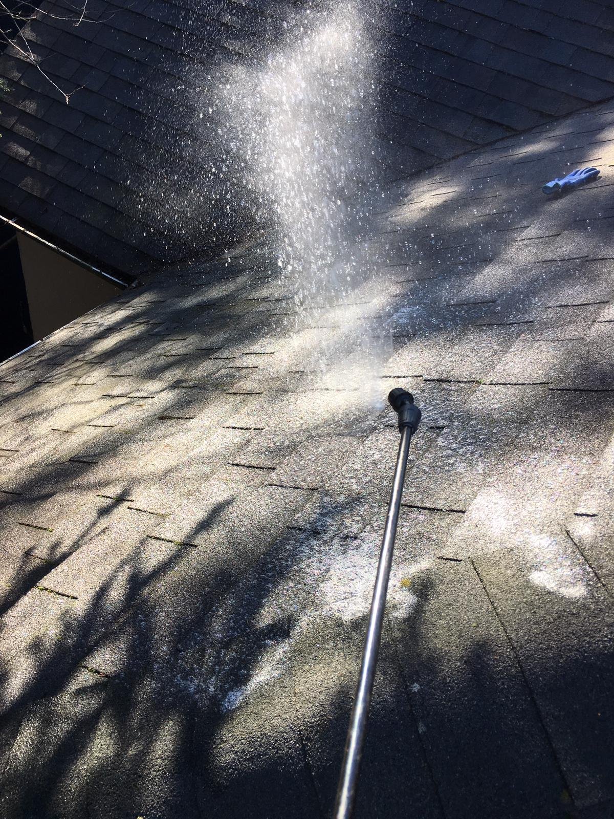 Spray-on roof moss treatment in Vancouver